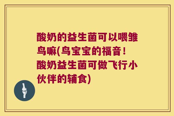 酸奶的益生菌可以喂雏鸟嘛(鸟宝宝的福音！酸奶益生菌可做飞行小伙伴的辅食)