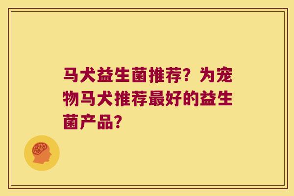 马犬益生菌推荐？为宠物马犬推荐最好的益生菌产品？