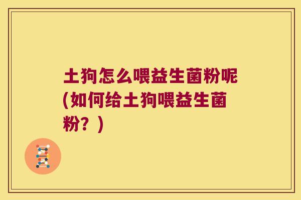 土狗怎么喂益生菌粉呢(如何给土狗喂益生菌粉？)