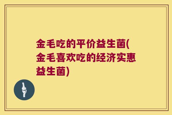 金毛吃的平价益生菌(金毛喜欢吃的经济实惠益生菌)