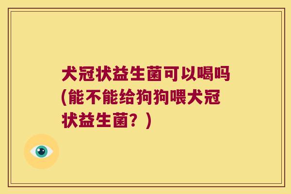 犬冠状益生菌可以喝吗(能不能给狗狗喂犬冠状益生菌？)