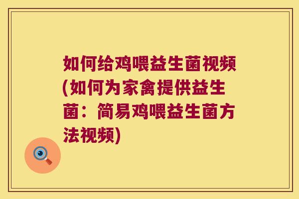 如何给鸡喂益生菌视频(如何为家禽提供益生菌：简易鸡喂益生菌方法视频)
