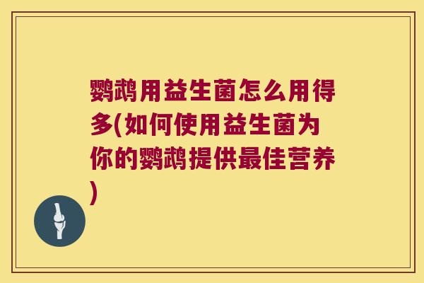 鹦鹉用益生菌怎么用得多(如何使用益生菌为你的鹦鹉提供佳营养) 鹦鹉用益生菌怎么用得多(如何使用益生菌为你的鹦鹉提供佳营养)