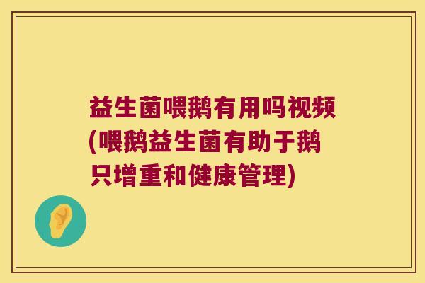 益生菌喂鹅有用吗视频(喂鹅益生菌有助于鹅只增重和健康管理)