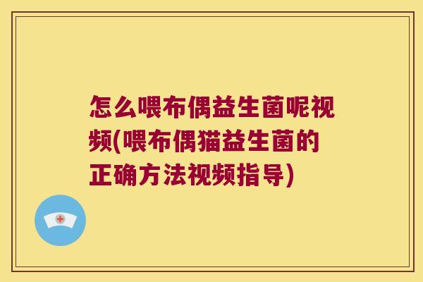怎么喂布偶益生菌呢视频(喂布偶猫益生菌的正确方法视频指导)