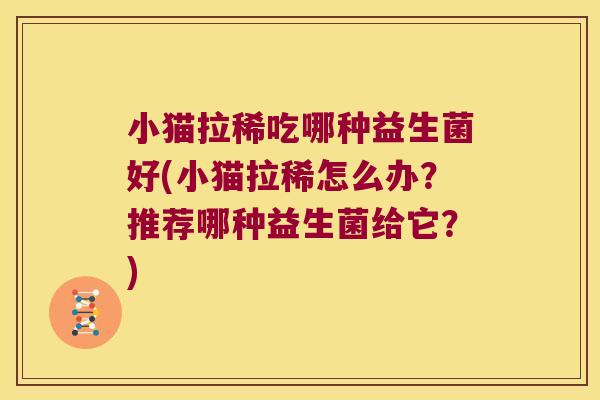 小猫拉稀吃哪种益生菌好(小猫拉稀怎么办？推荐哪种益生菌给它？)