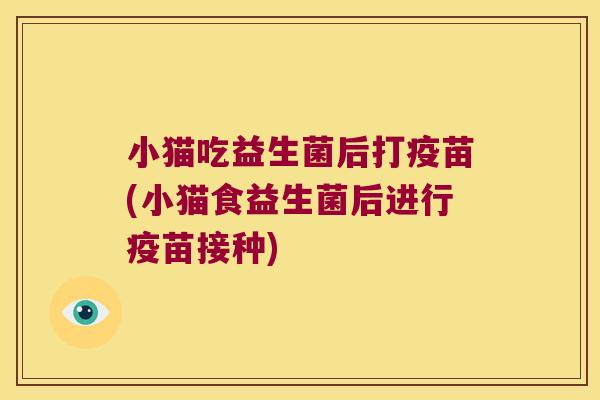 小猫吃益生菌后打疫苗(小猫食益生菌后进行疫苗接种) 小猫吃益生菌后打疫苗(小猫食益生菌后进行疫苗接种)