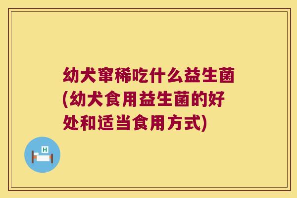 幼犬窜稀吃什么益生菌(幼犬食用益生菌的好处和适当食用方式)