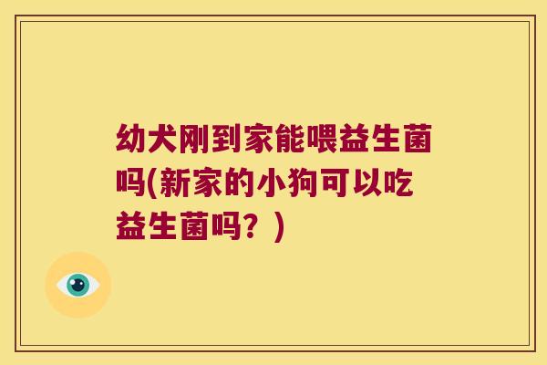 幼犬刚到家能喂益生菌吗(新家的小狗可以吃益生菌吗?) 幼犬刚到家能喂益生菌吗(新家的小狗可以吃益生菌吗?)