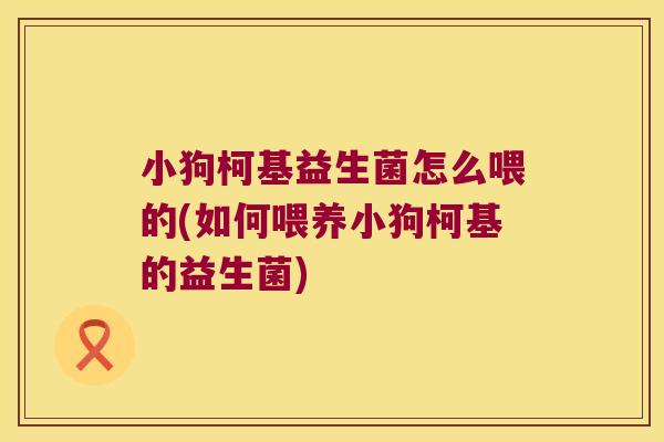 小狗柯基益生菌怎么喂的(如何喂养小狗柯基的益生菌) 小狗柯基益生菌怎么喂的(如何喂养小狗柯基的益生菌)