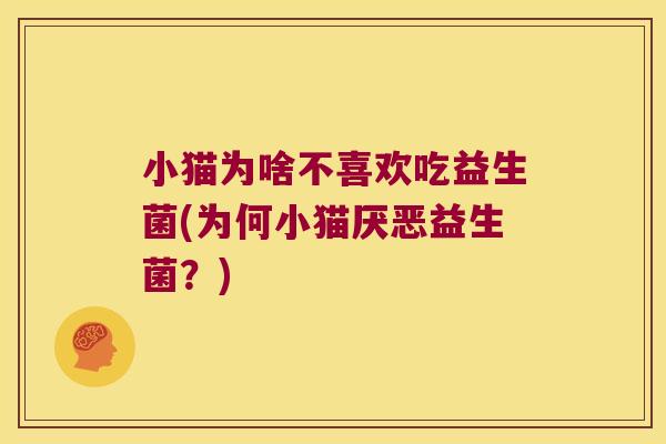 小猫为啥不喜欢吃益生菌(为何小猫厌恶益生菌？)