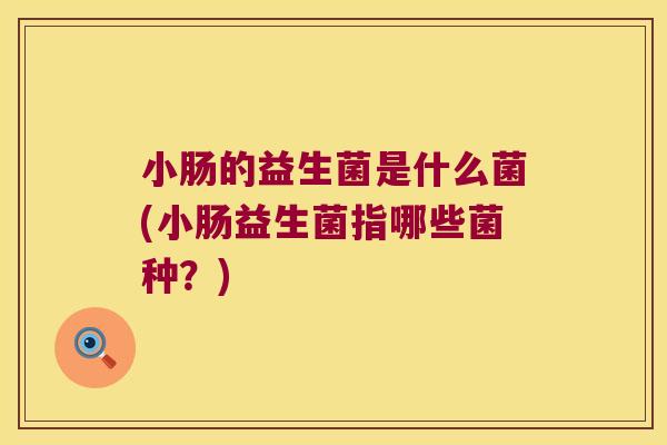 小肠的益生菌是什么菌(小肠益生菌指哪些菌种？)