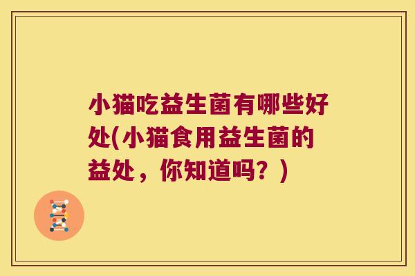 小猫吃益生菌有哪些好处(小猫食用益生菌的益处，你知道吗？)