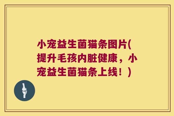 小宠益生菌猫条图片(提升毛孩内脏健康，小宠益生菌猫条上线！)