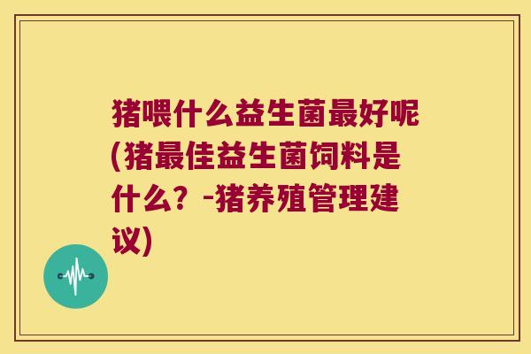猪喂什么益生菌最好呢(猪最佳益生菌饲料是什么？-猪养殖管理建议)