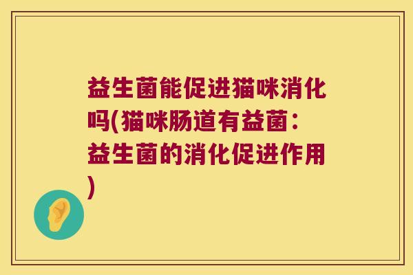 益生菌能促进猫咪消化吗(猫咪肠道有益菌：益生菌的消化促进作用)