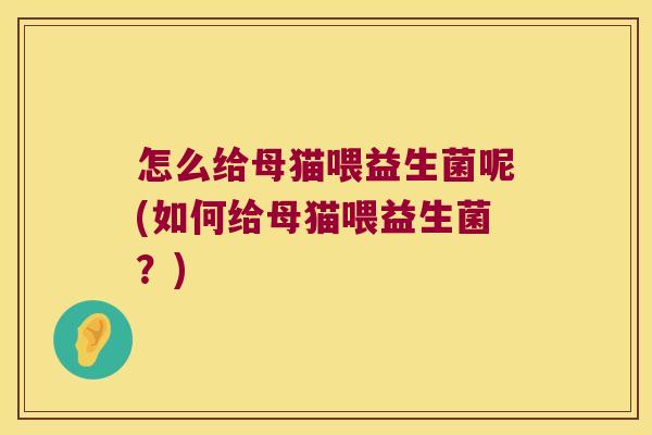 怎么给母猫喂益生菌呢(如何给母猫喂益生菌？)