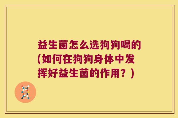 益生菌怎么选狗狗喝的(如何在狗狗身体中发挥好益生菌的作用？)