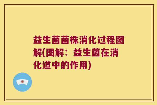益生菌菌株消化过程图解(图解:益生菌在消化道中的作用) 益生菌菌株消化过程图解(图解:益生菌在消化道中的作用)
