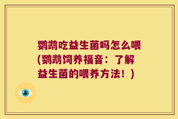 鹦鹉吃益生菌吗怎么喂(鹦鹉饲养福音:了解益生菌的喂养方法!) 鹦鹉吃益生菌吗怎么喂(鹦鹉饲养福音:了解益生菌的喂养方法!)
