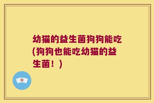幼猫的益生菌狗狗能吃(狗狗也能吃幼猫的益生菌！)