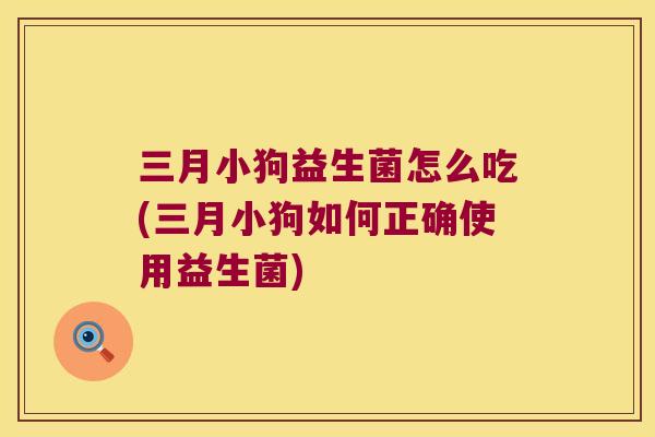 三月小狗益生菌怎么吃(三月小狗如何正确使用益生菌)