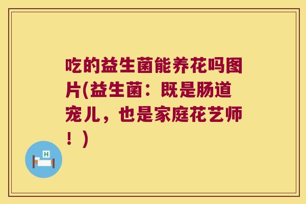 吃的益生菌能养花吗图片(益生菌：既是肠道宠儿，也是家庭花艺师！)