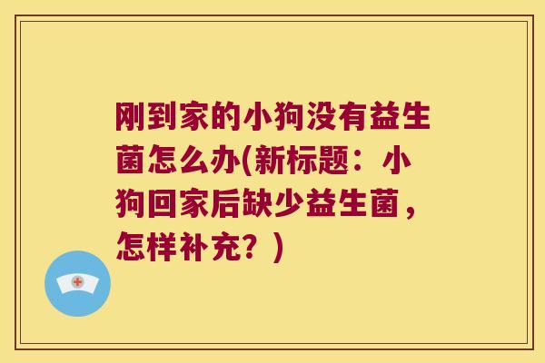 刚到家的小狗没有益生菌怎么办(新标题:小狗回家后缺少益生菌,怎样补充?) 刚到家的小狗没有益生菌怎么办(新标题:小狗回家后缺少益生菌,怎样补充?)