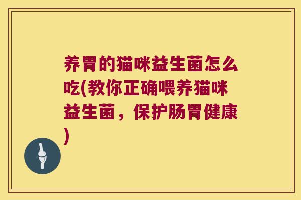 养胃的猫咪益生菌怎么吃(教你正确喂养猫咪益生菌，保护肠胃健康)