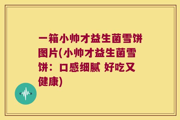 一箱小帅才益生菌雪饼图片(小帅才益生菌雪饼:口感细腻 好吃又健康) 一箱小帅才益生菌雪饼图片(小帅才益生菌雪饼:口感细腻 好吃又健康)