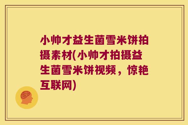 小帅才益生菌雪米饼拍摄素材(小帅才拍摄益生菌雪米饼视频，惊艳互联网)