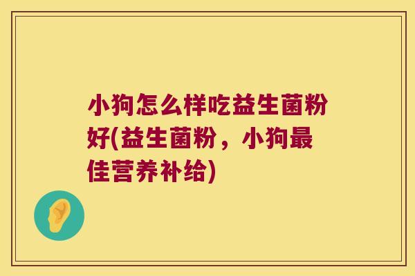 小狗怎么样吃益生菌粉好(益生菌粉，小狗最佳营养补给)