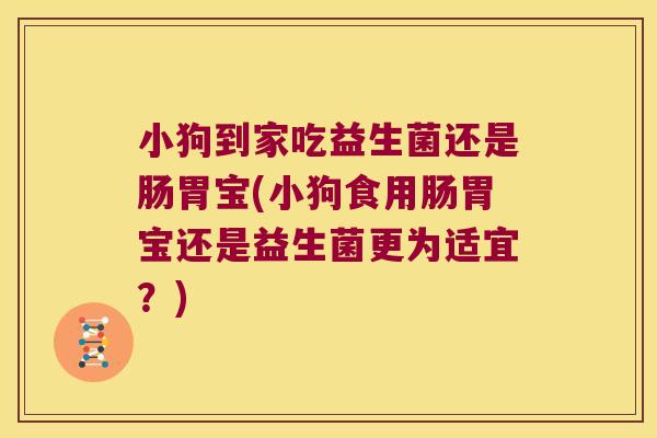小狗到家吃益生菌还是肠胃宝(小狗食用肠胃宝还是益生菌更为适宜？)
