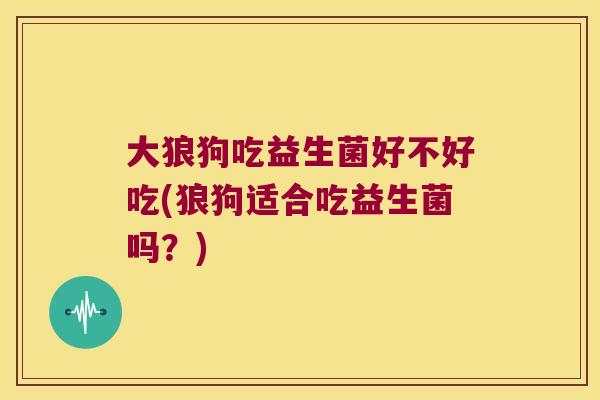 大狼狗吃益生菌好不好吃(狼狗适合吃益生菌吗？)