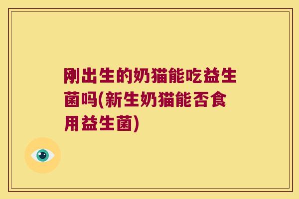 刚出生的奶猫能吃益生菌吗(新生奶猫能否食用益生菌)