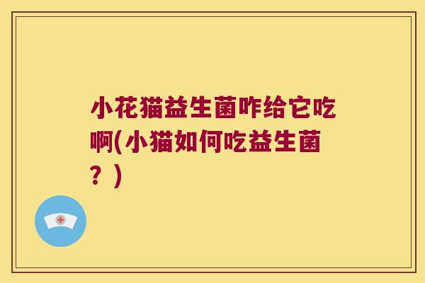 小花猫益生菌咋给它吃啊(小猫如何吃益生菌?) 小花猫益生菌咋给它吃啊(小猫如何吃益生菌?)