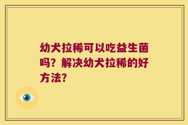 幼犬拉稀可以吃益生菌吗？解决幼犬拉稀的好方法？