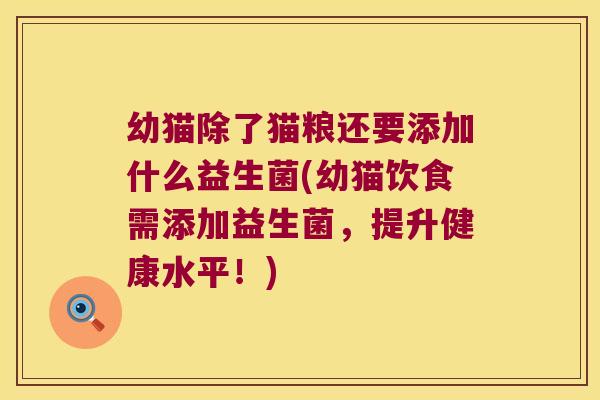 幼猫除了猫粮还要添加什么益生菌(幼猫饮食需添加益生菌,提升健康水平!) 幼猫除了猫粮还要添加什么益生菌(幼猫饮食需添加益生菌,提升健康水平!)