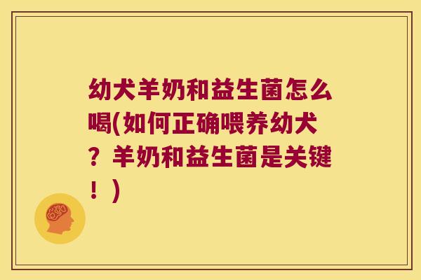 幼犬羊奶和益生菌怎么喝(如何正确喂养幼犬?羊奶和益生菌是关键!) 幼犬羊奶和益生菌怎么喝(如何正确喂养幼犬?羊奶和益生菌是关键!)