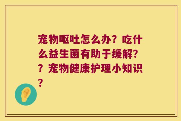 宠物呕吐怎么办？吃什么益生菌有助于缓解？？宠物健康护理小知识？