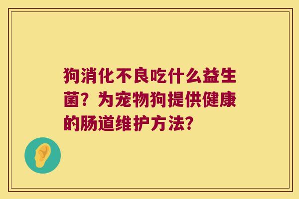狗消化不良吃什么益生菌？为宠物狗提供健康的肠道维护方法？