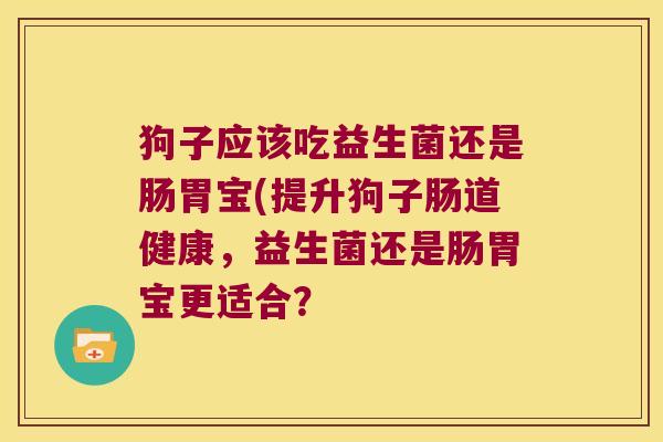 狗子应该吃益生菌还是肠胃宝(提升狗子肠道健康,益生菌还是肠胃宝更适合? 狗子应该吃益生菌还是肠胃宝(提升狗子肠道健康,益生菌还是肠胃宝更适合?