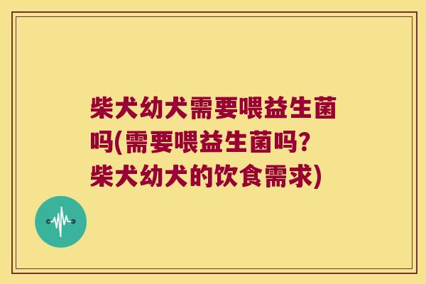 柴犬幼犬需要喂益生菌吗(需要喂益生菌吗？柴犬幼犬的饮食需求)