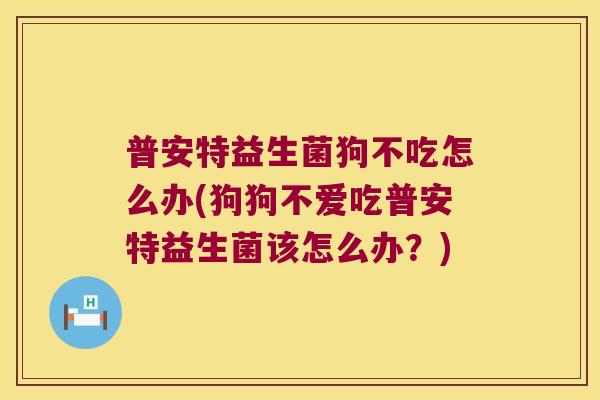 普安特益生菌狗不吃怎么办(狗狗不爱吃普安特益生菌该怎么办？)