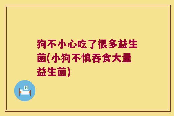 狗不小心吃了很多益生菌(小狗不慎吞食大量益生菌)