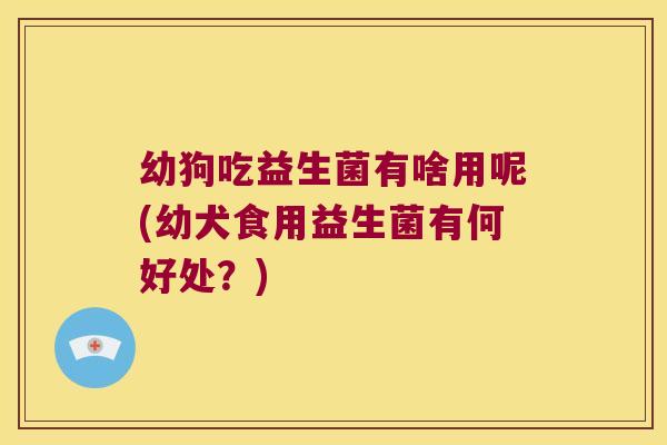 幼狗吃益生菌有啥用呢(幼犬食用益生菌有何好处？)