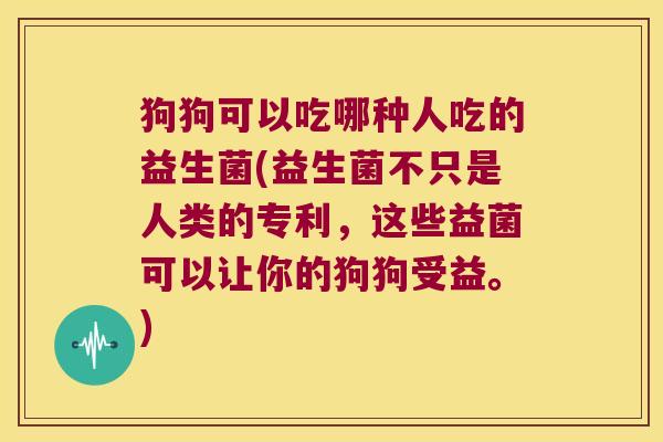 狗狗可以吃哪种人吃的益生菌(益生菌不只是人类的专利,这些益菌可以让你的狗狗受益。) 狗狗可以吃哪种人吃的益生菌(益生菌不只是人类的专利,这些益菌可以让你的狗狗受益。)