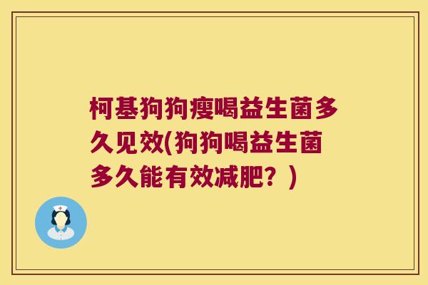 柯基狗狗瘦喝益生菌多久见效(狗狗喝益生菌多久能有效?) 柯基狗狗瘦喝益生菌多久见效(狗狗喝益生菌多久能有效?)