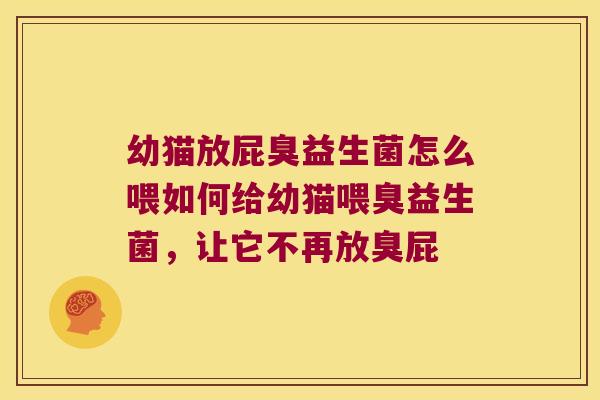 幼猫放屁臭益生菌怎么喂如何给幼猫喂臭益生菌，让它不再放臭屁