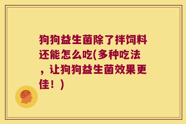 狗狗益生菌除了拌饲料还能怎么吃(多种吃法，让狗狗益生菌效果更佳！)